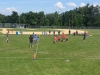 FB_IMG_1498680618924 FB_IMG_1498680618924