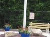 parkcleanup-092